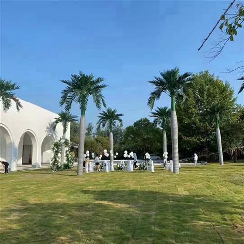 仿真大型人造椰子树厂家户外水乐园假树广场装饰玻璃钢大王椰子树图片