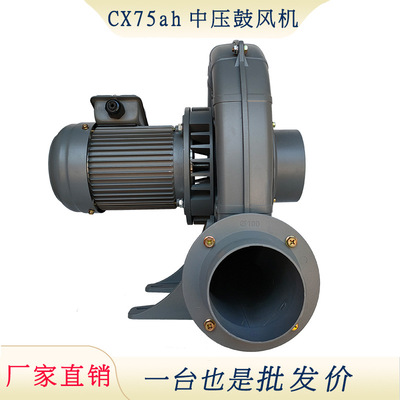 升圆CX75耐高温鼓风机 工业热风循环管道风机 燃烧机送风中压风机