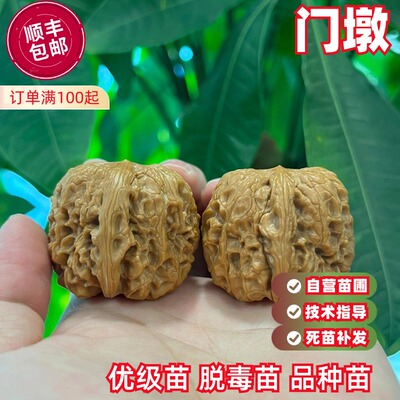 门墩文玩丰产品相好文完