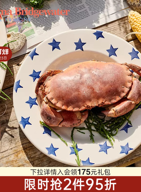 Emma Bridgewater蓝色星星餐盘餐具釉下彩emmabrigewater轻奢果盘