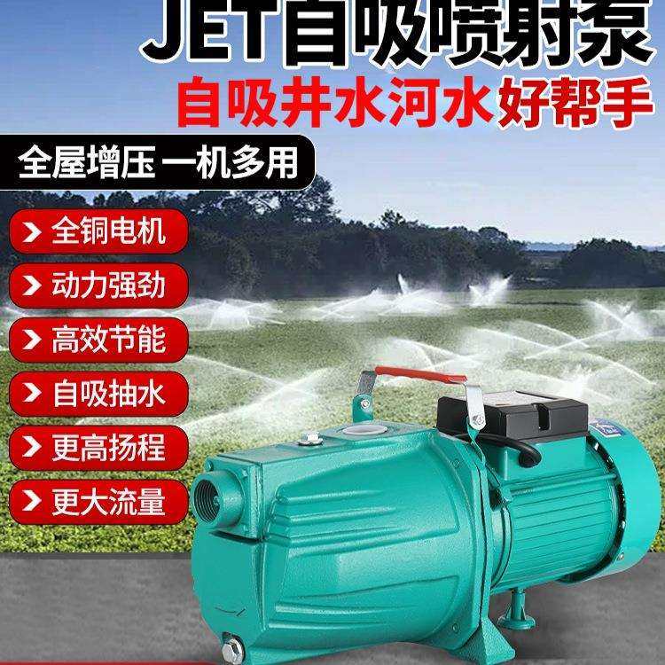 家用小型水泵泵抽水机抽水泵自吸泵抽井水水塔自动增压泵220v