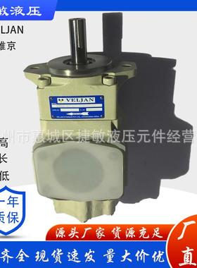 维京叶片泵T6GCC-B20-B06-6R02-A111VELJAN油泵
