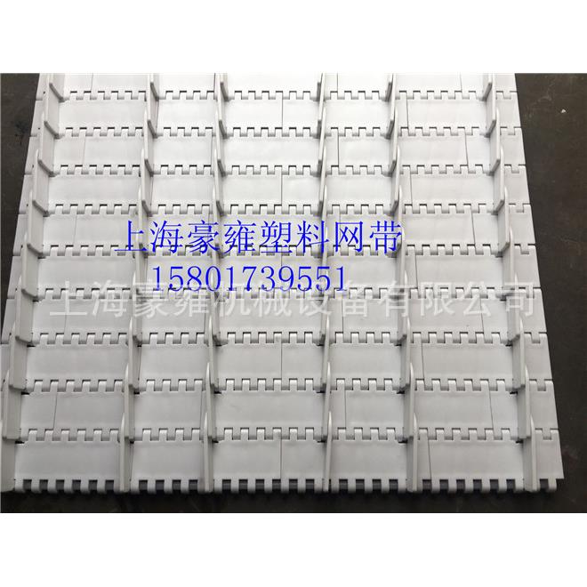 裙边式网带分道链OPB型号网带网带豪雍塑料网带