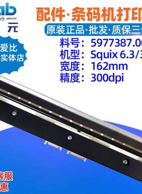 CAB铠博Squix 6.3 300dpi打印头5977387 5977311条码标签热敏唛头