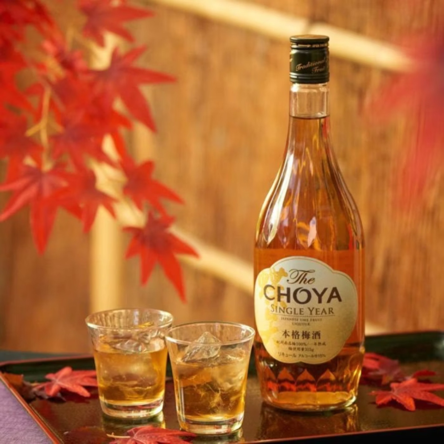 CHOYA俏雅蝶矢一年陈本格梅酒200ML日本进口梅酒女士低度微醺果酒