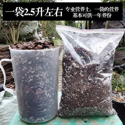 兰花植料专用营养土兰草苗专业配方肥料家用花土盆栽种植土壤2.5L