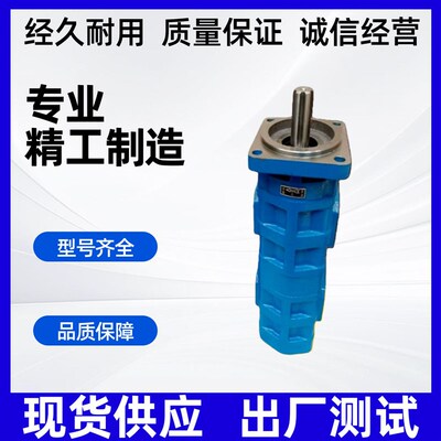 天津PERMCO泊姆克齿轮泵三联泵煤机钻机高压泵P124A082TPZA15-85
