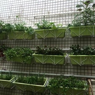 The flower rack hanging on the balcony railing is a kind of