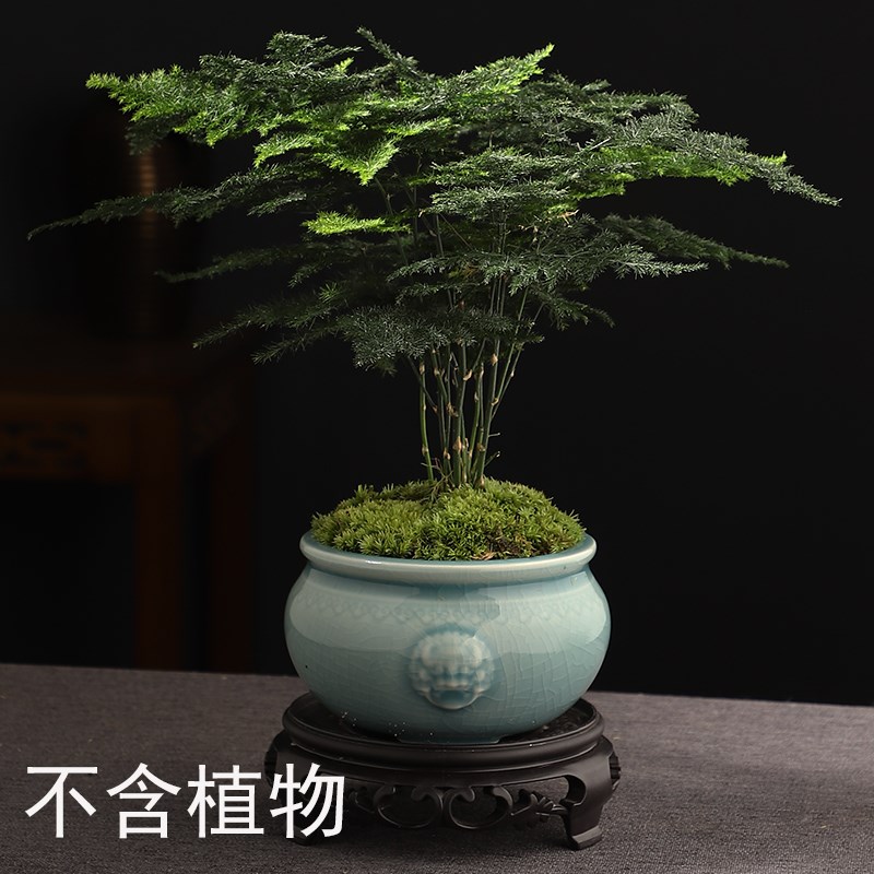 好货中国风复古哥窑青瓷多肉绿植菖蒲盆栽盆景简约六方四方花卉兰