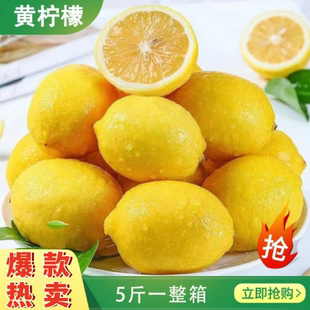柠檬新鲜正宗安岳黄柠檬尤力克皮薄多汁商用出口级高品质整箱包邮