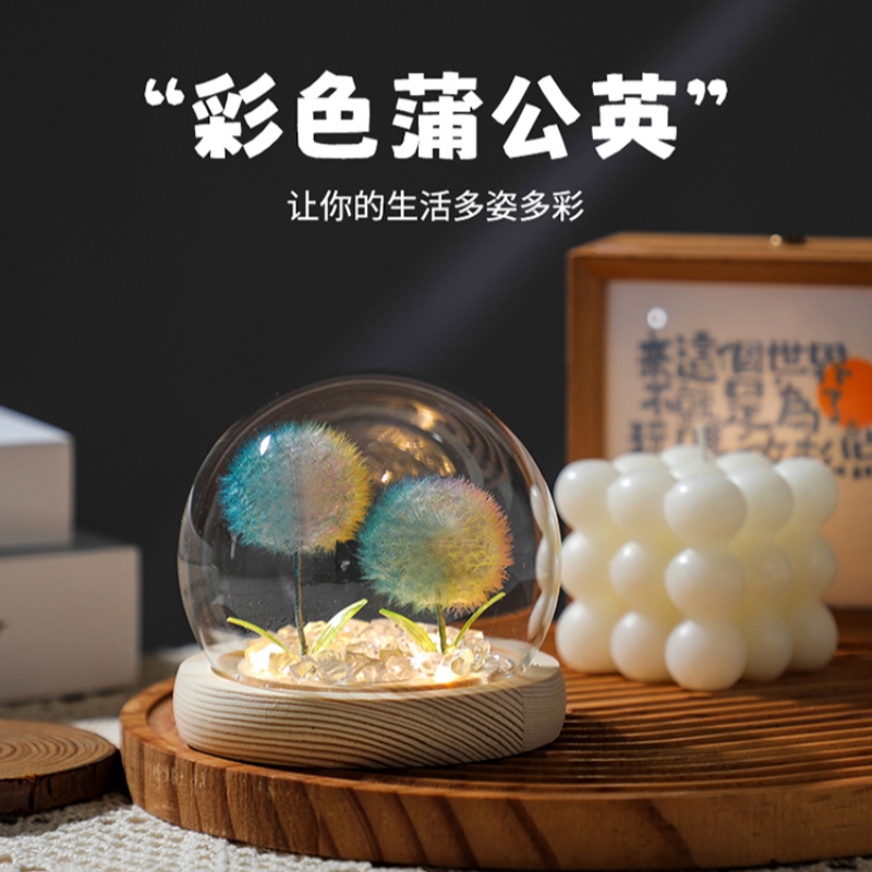 真蒲公英干花永生花植物标本摆件