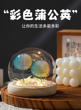 真蒲公英干花永生花植物标本摆件