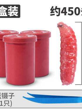 鲜活红蛆虫活饵鱼饵野钓神饵户外野钓饵料溪流河流爆护饵红曲虫