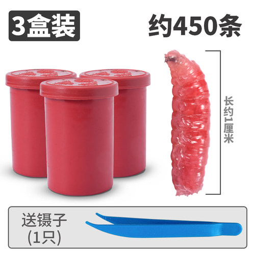 鲜活红蛆虫活饵户外野钓饵料