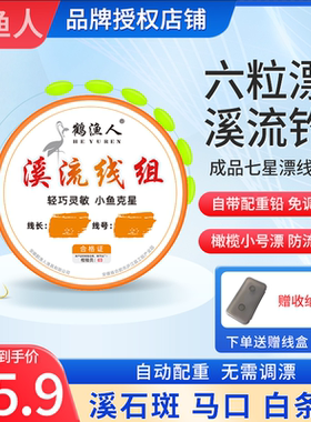 溪流钓线组小物石斑鱼白条马口专用逗钓六粒漂鱼线鱼钩七星漂套装