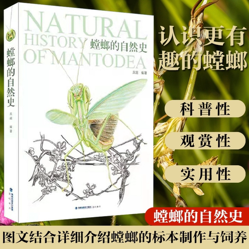 现货正版保证 螳螂的自然史 吴超海峡书局 自然科普昆虫标本 rlyl推荐昆虫图鉴大百科中国昆虫生态大图鉴书籍生物图鉴动物百科全书