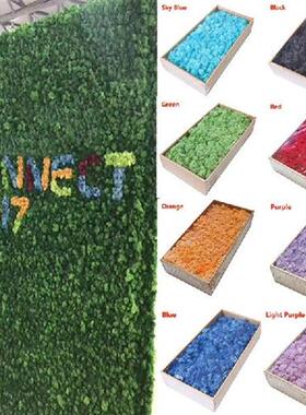 Artificial Green Plant Immortal Fake Flower Moss Grass High