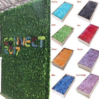 Artificial Green Plant Immortal Fake Flower Moss Grass High