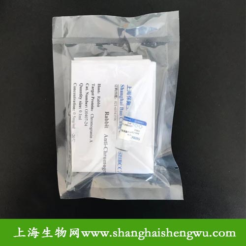 新品一抗  SRC 兔多抗 100μl SHBCC G1312-9 包邮