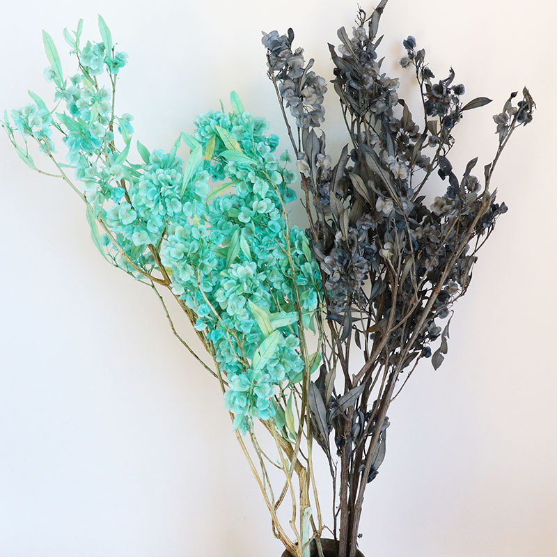 永生蝴蝶花 [迎客豆] 真花 婚礼大厅装饰配花配材 云南工直供