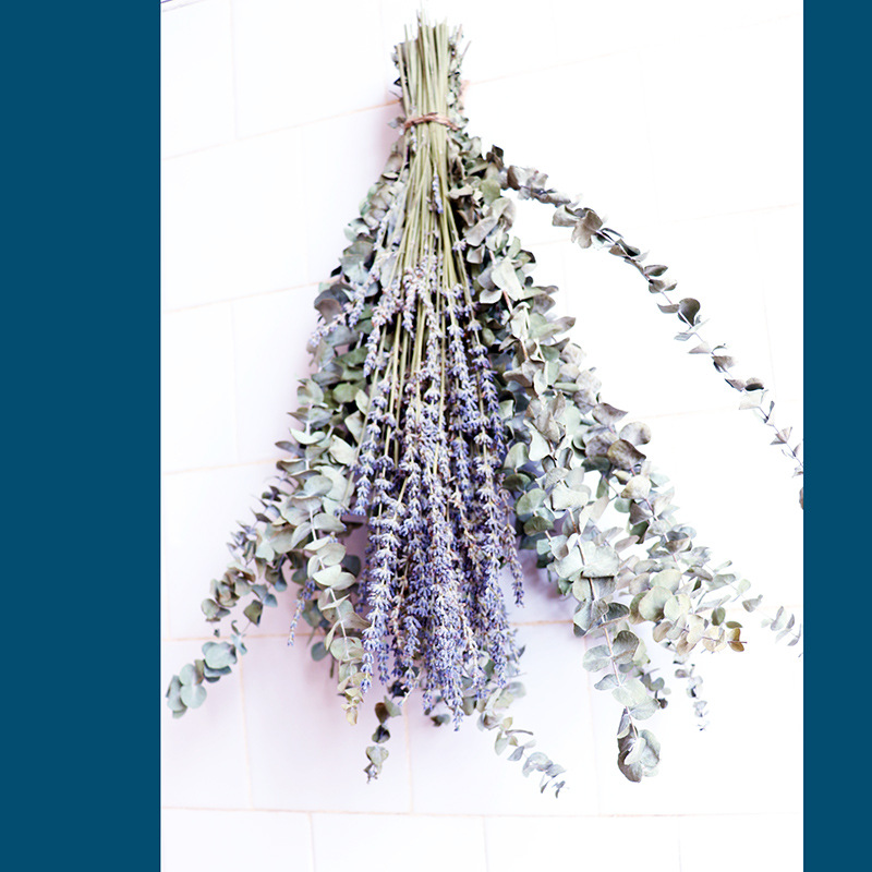 尤加利叶+薰衣草组合花束 干花花束桉树薰衣草装饰