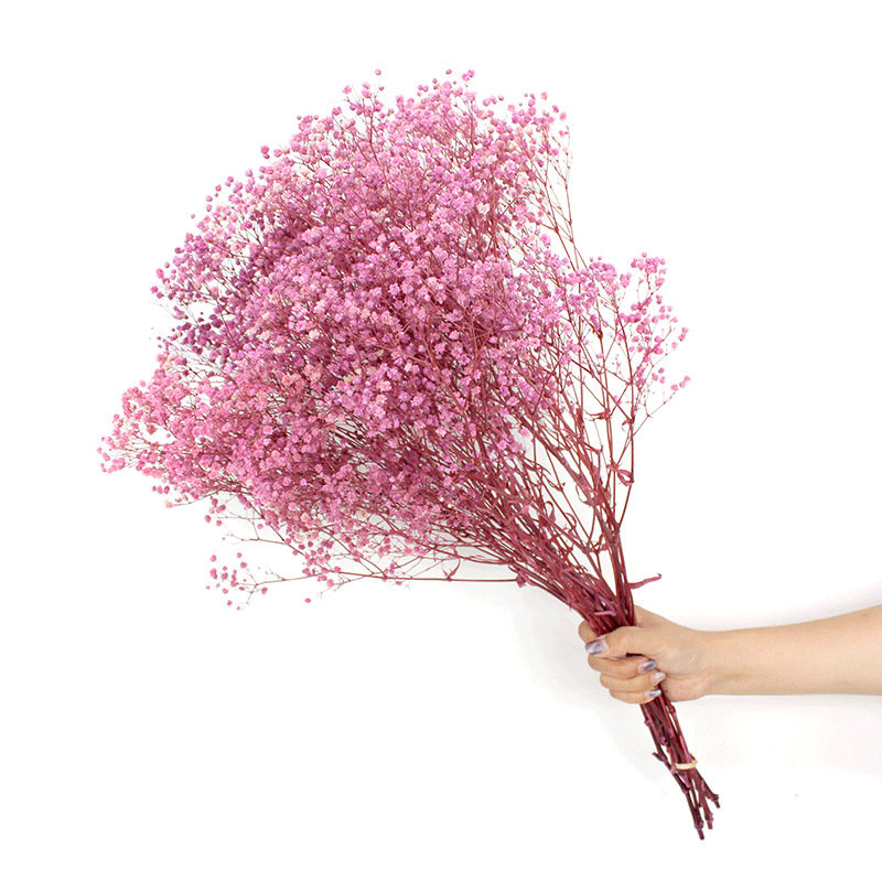 满天星永生花 花材家居插花花束100gDIY大量材料云南厂家直发