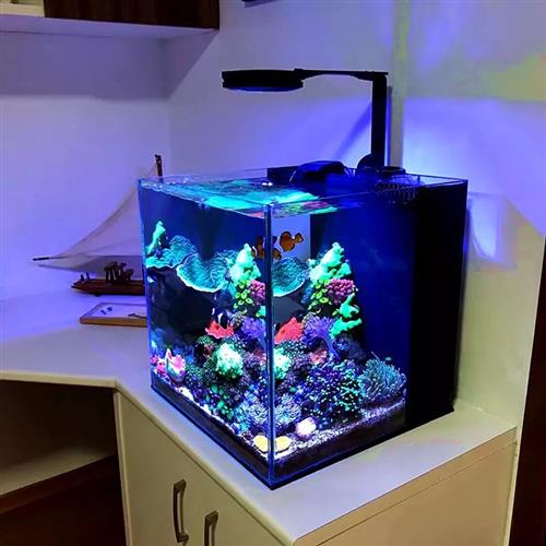 极速蓝甸海水缸桌面珊瑚背滤缸中小型水族箱超白玻璃海缸全套设备