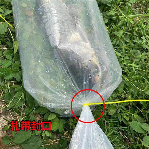 极速活鱼打包袋加厚充氧水族装海鲜水产鱼苗包装运输快递平口塑料