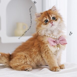 新品猫咪围脖项圈宠物饰r品披肩猫猫口水巾围兜小猫针织围巾狗狗