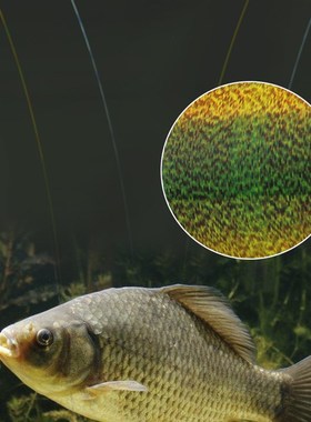 极速FTK 300/500m Invisiblew Fishing Line Speckle Fluorocarbo