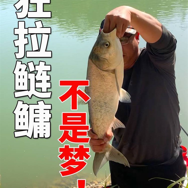 极速鲢鳙钓组套装浮钓鲢鳙的鱼钩水怪钓饵L笼翻板钩新款鱼钓爆炸