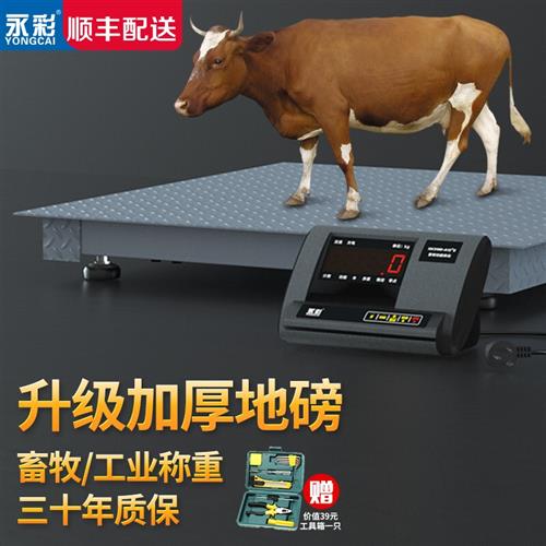 极速永彩电子地i磅秤1吨3吨5T工业电子平台计重秤加厚电子畜牧称