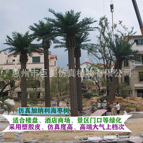 仿真海枣树塑胶皮中东海藻树人造仿生加拿利海藻树工程绿化假大树