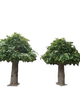 仿真白桦树人造大树源厂家供应室内外装饰设计景观树园林造景