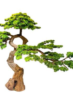 仿真树仿真松树大型商场酒店玄关室内外造景装饰假树日式假迎客松