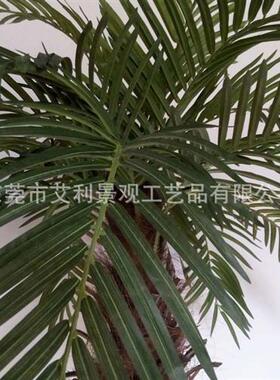 凤尾葵盆栽过胶手感扇尾葵庭院摆件树假树装饰树仿真