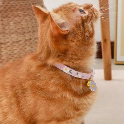 极速Flower Collar  Practical Safety BucklLe Allergy Free  Co