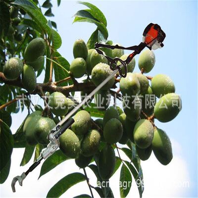 极速果园汽油g摘果机山茱萸橄榄摘果机咖啡豆打果机杏子沙棘摘果