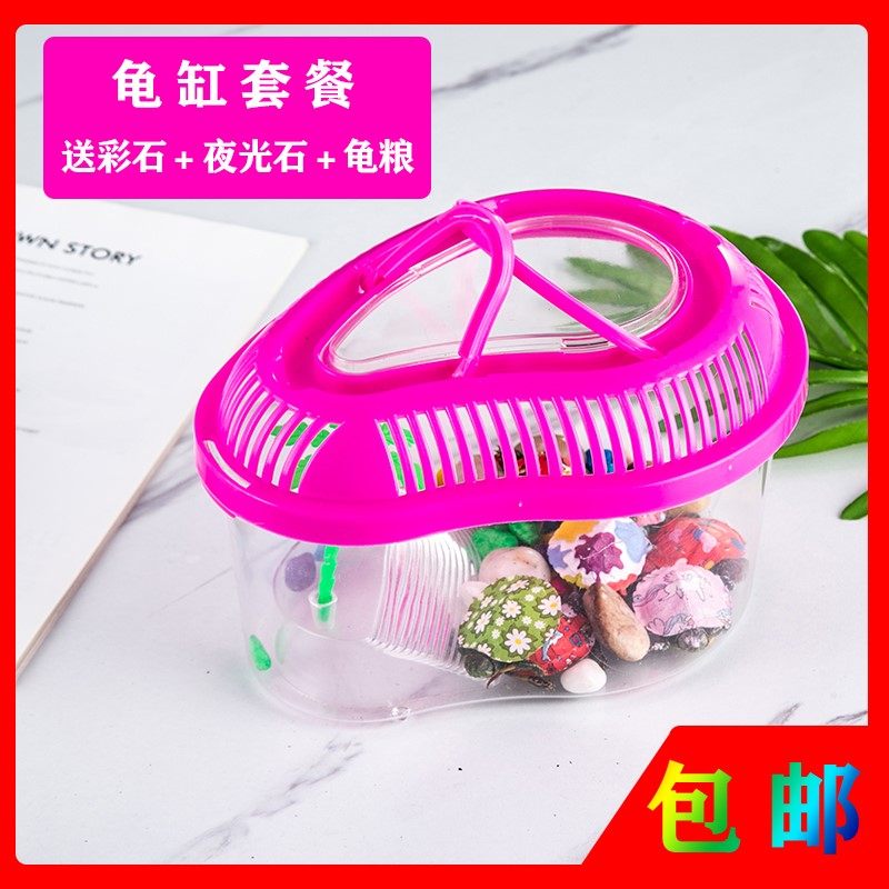 极速适合小孩养的宠物炫彩小乌龟浅水两栖观赏小宠Z物龟粮工厂,宠物/宠物食品及用品,龟/鳖,淘宝优惠券,粉丝福利购,淘宝优惠卷