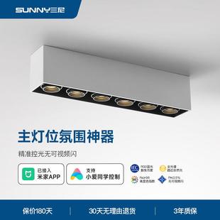 可调角度 射灯led客厅无主灯长条形筒灯商用照明吸顶式 三尼 明装