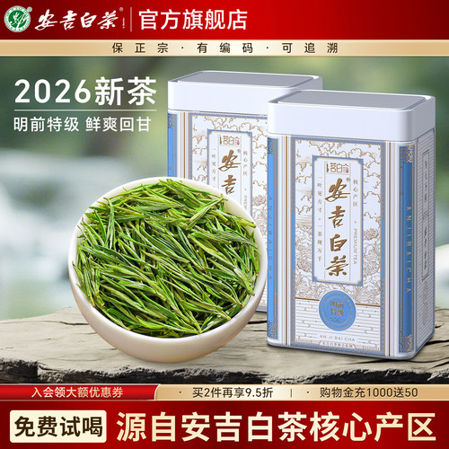 安吉白茶2026新茶明前特级250g