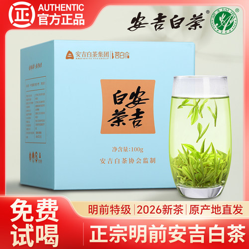 安吉白茶2026新茶正宗明前茶叶