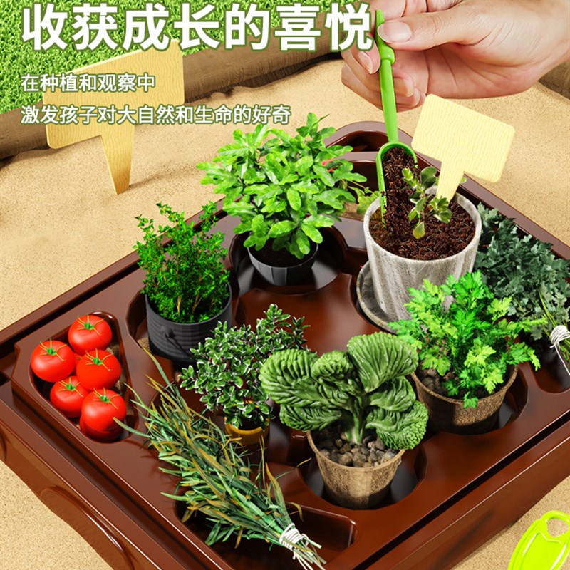 儿童种植小盆栽植物绿植观察diy迷你学生自种发芽小孩养花卉房子