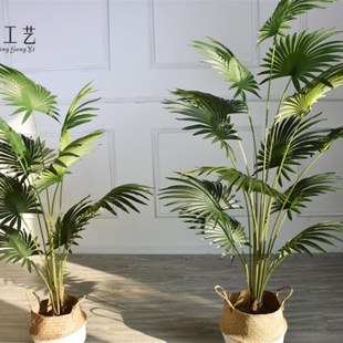 仿真植物人造棕扇葵树假棕竹观音竹棕榈竹装饰落地花园布置摄影