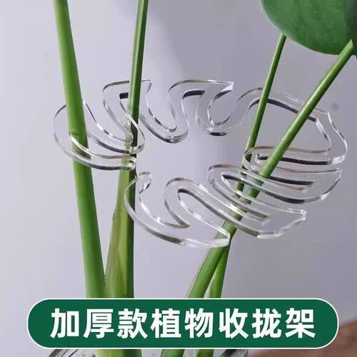 龟背竹收拢架插花固定器植物支架