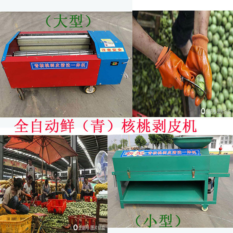 青核桃去皮机大小型家用青皮核桃山核桃薄皮核桃剥皮清洗机