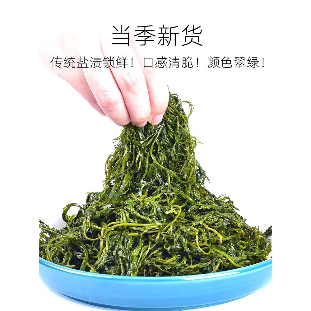 鞭炮笋火锅食材海藻菜羊栖凉拌菜海草火炮菜长寿菜龙须盐渍马尾藻