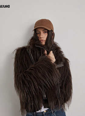 【明星同款】LEDIM WANG都市老钱仿皮草外套女咖色立领25秋冬新款