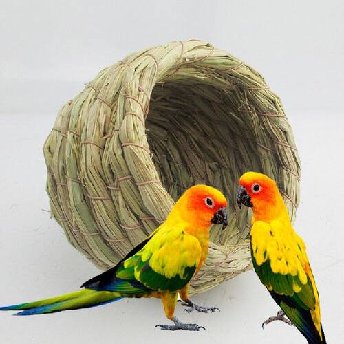 好货Bird Cage Large Bird Cage Accessories Bird Cages Parrot