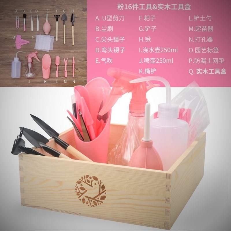 组合套装多肉植物种植工具养花迷你园艺用品肉肉盆栽多肉工具水壶